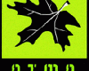 Clubul Montan 11 Targu-Mures