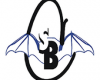Fundatia Speologica Club Speo Bucovina